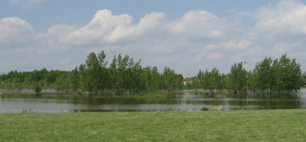 flood Alberta Canada Oldman River