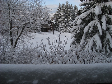 Snow Calgary