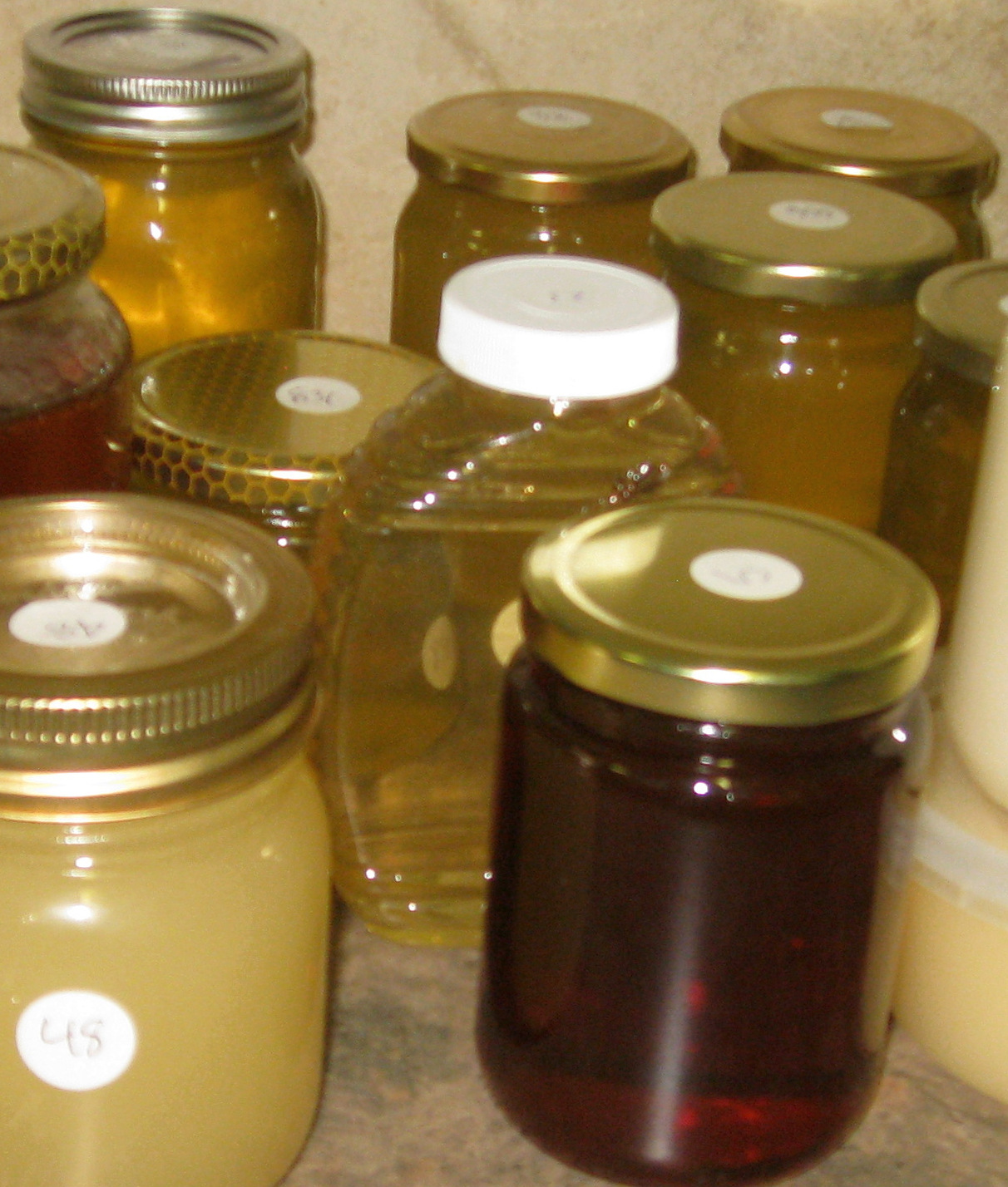 judging honey contest Calgary Bee Club varieties of honey in Alberta