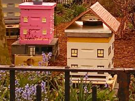 Bees in New Amsterdam