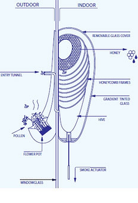 phillips indoor urban bee hive beehive