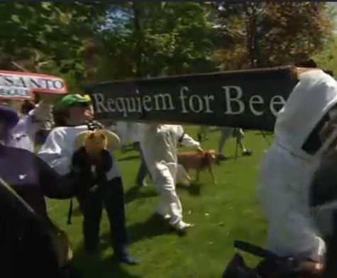 bees funeral